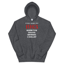 Load image into Gallery viewer, HH - 1913 REASONS... - Unisex Hoodie